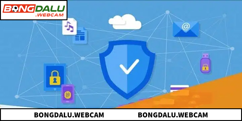 Các trường hợp nền tảng được miễn trừ mọi hệ lụy pháp