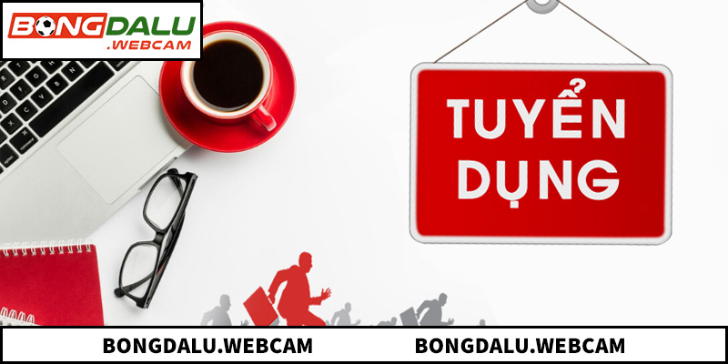 Các vị trí tuyển dụng trọng điểm dành cho ứng viên tài năng