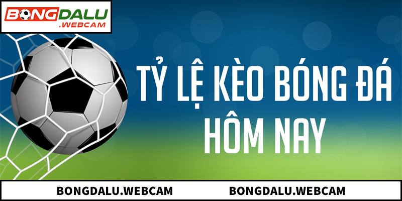 Kinh nghiệm chọn tỷ lệ kèo chính xác tại các giải Cup