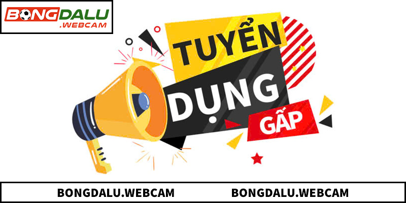 Nhu cầu tuyển dụng nhân sự chuyên môn tại BONGDALU tăng cao