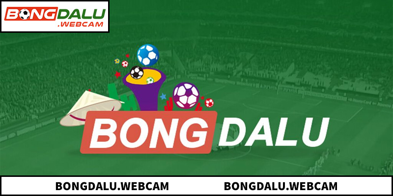 Tối ưu hóa trải nghiệm người dùng qua hệ thống dữ liệu chuẩn